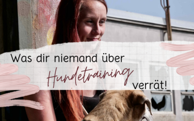 Was dir niemand über Hundetraining verrät.