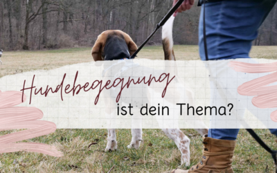 Hundebegegnung ist dein Thema