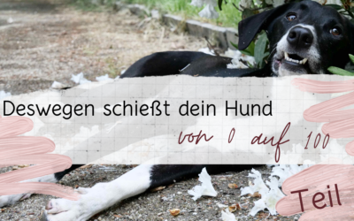 Von 0 auf 100 Teil 1