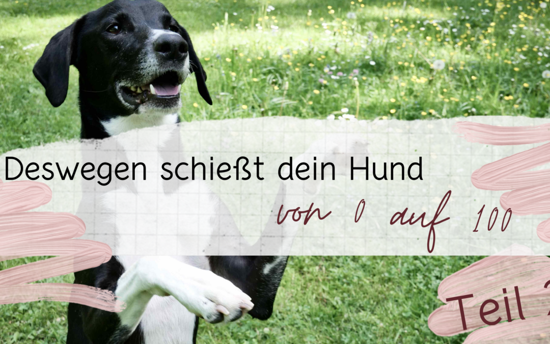 Von 0 auf 100 Teil 2
