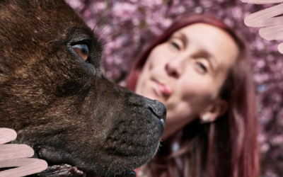 Noch bessere Leckerlis