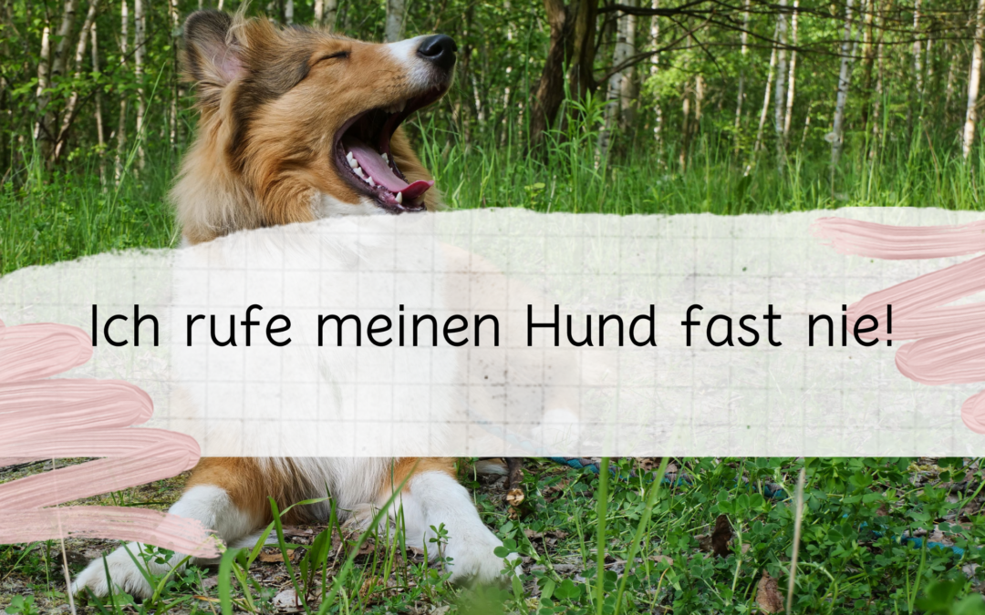 Ich rufe meinen Hund fast nie!