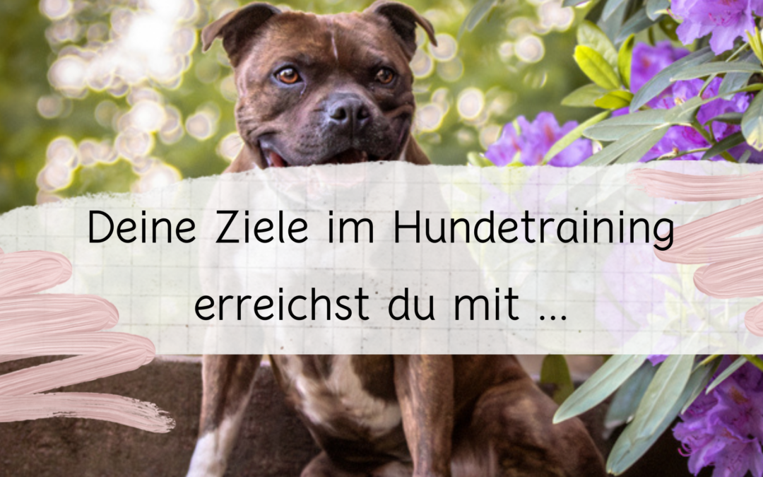 Deine Ziele im Hundetraining