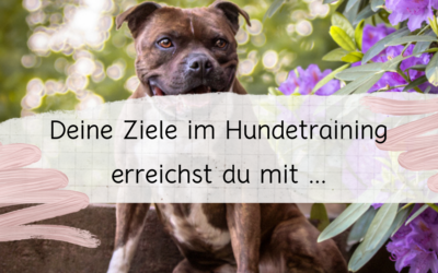 Deine Ziele im Hundetraining