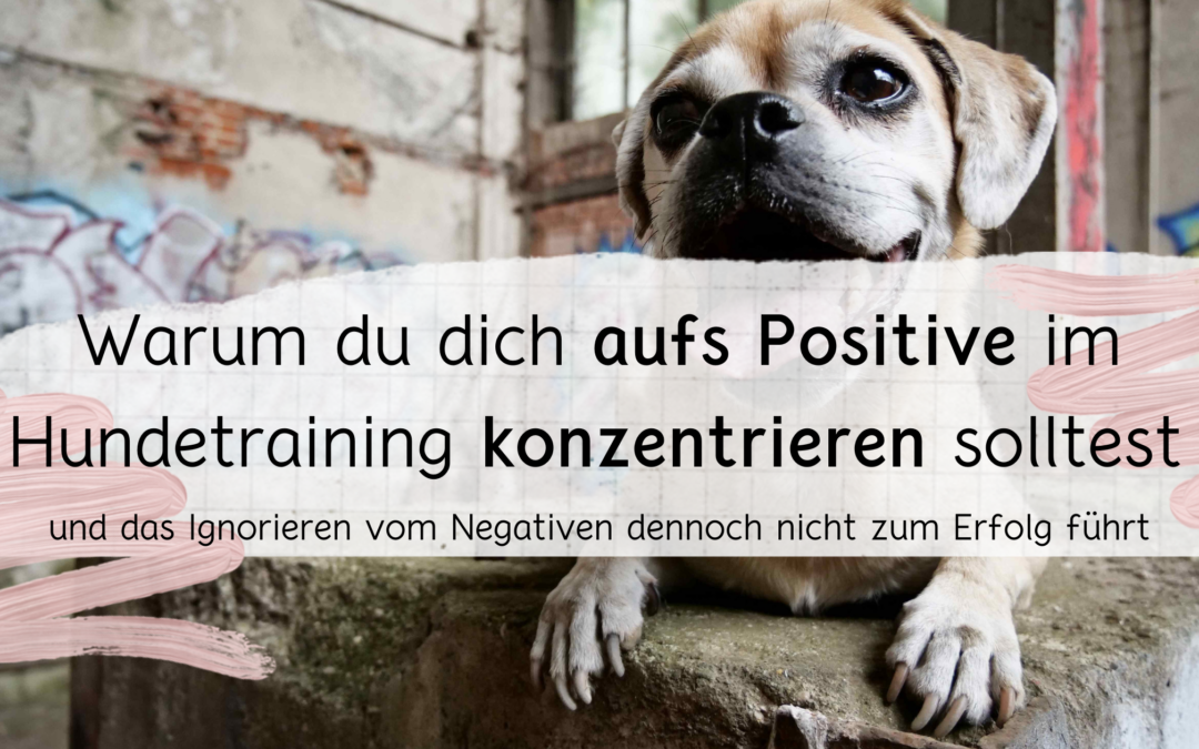 Konzentrier dich aufs Positive