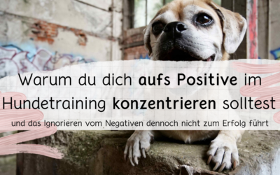 Konzentrier dich aufs Positive