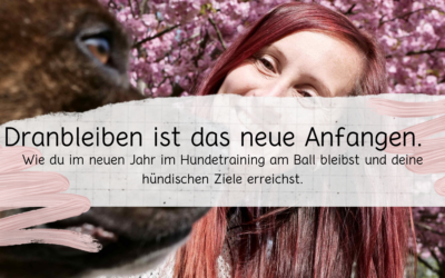 Dranbleiben ist das neue Anfangen