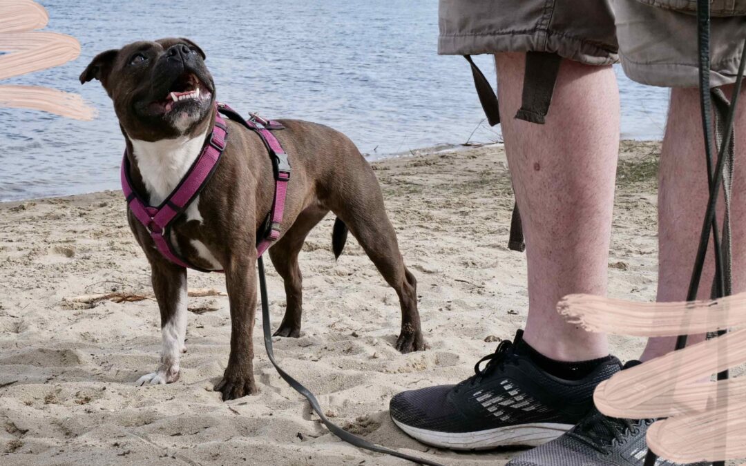 Gewusel auf dem Spaziergang? Mach´s strukturierter!