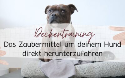Deckentraining das Zaubermittel