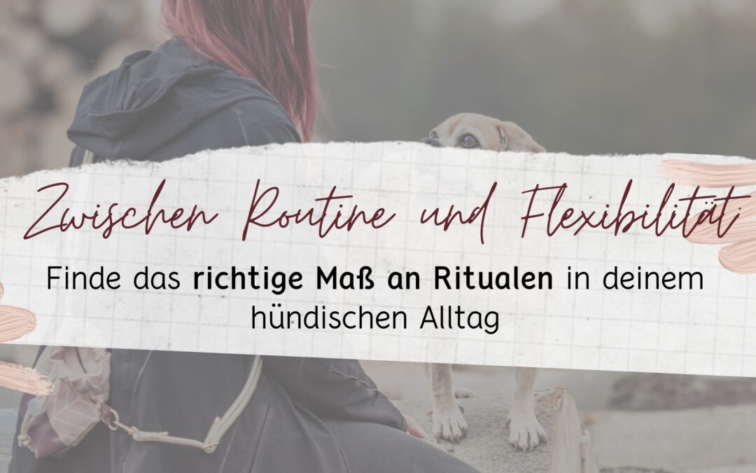 Rituale im Hundetraining