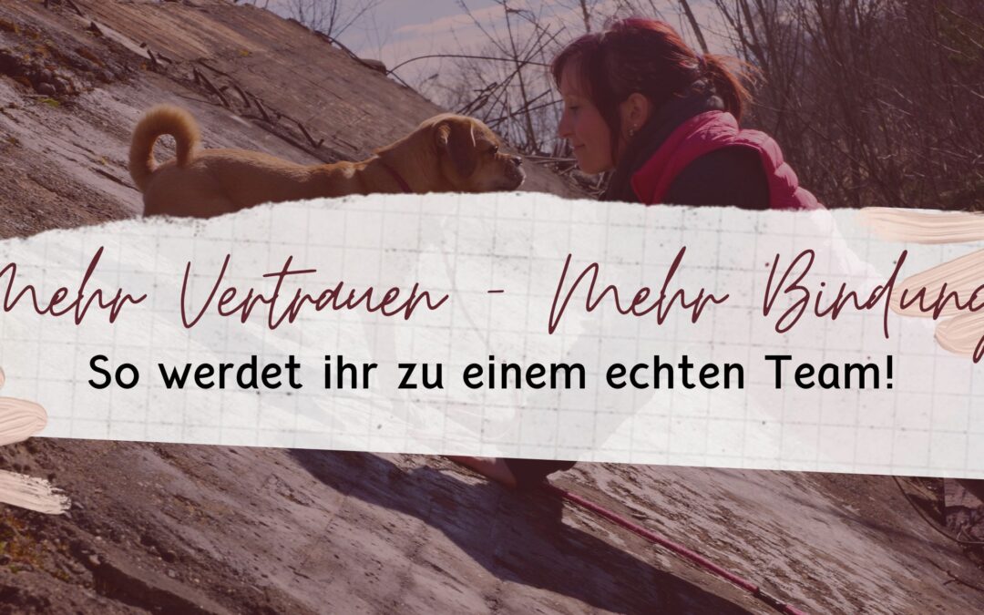 So werdet ihr zu einem echten Team