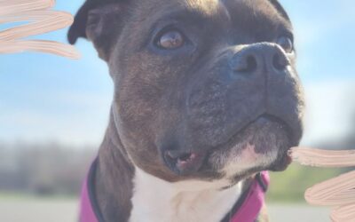 Raus aus dem Tunnelblick