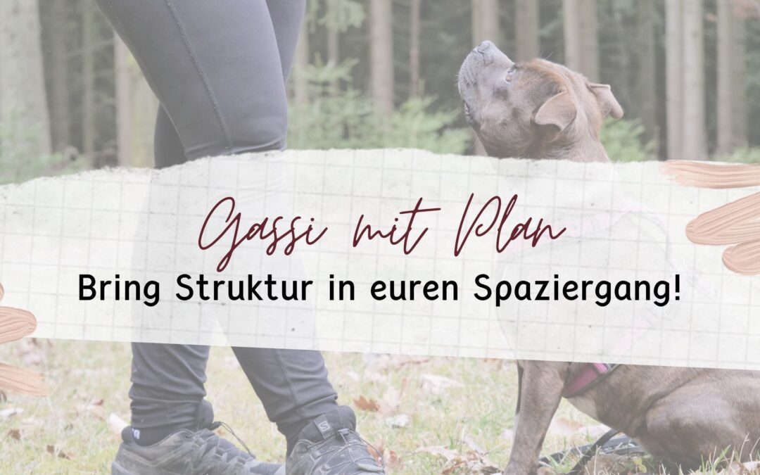 Gassi mit Plan